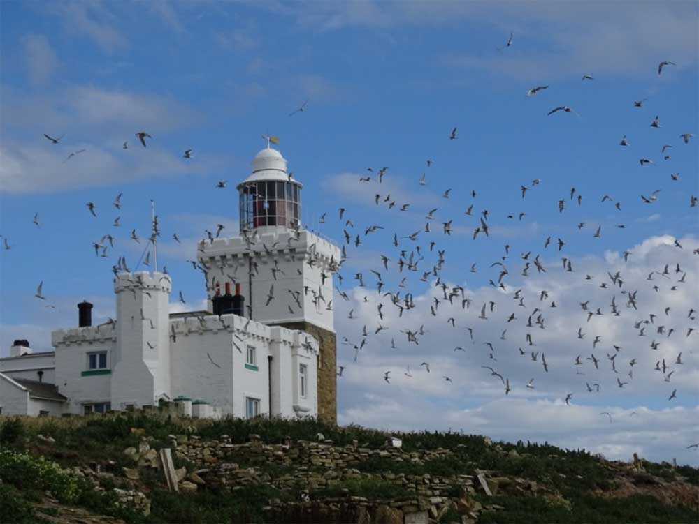 Lighthouse