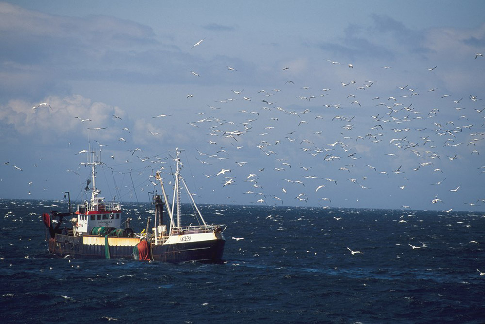 Danish trawler fishing for sandeels