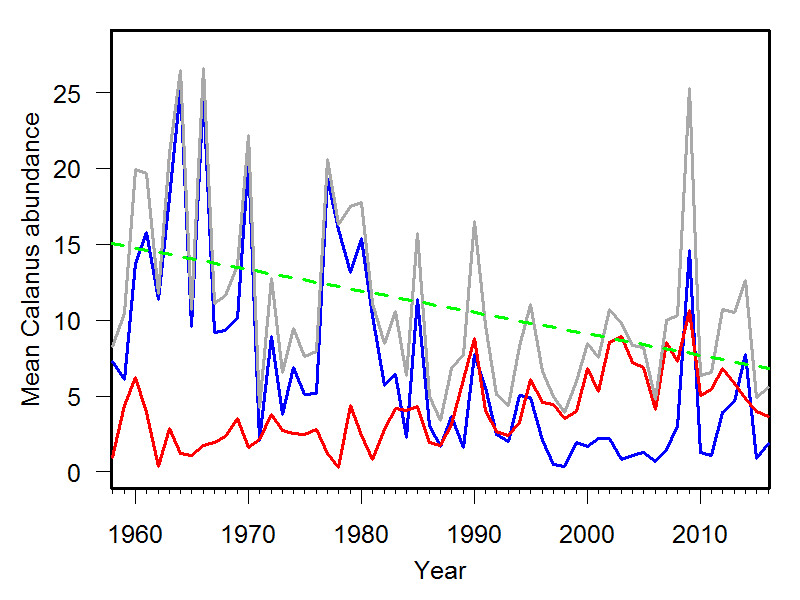 Mean annual Calanus abundance in the central North Sea